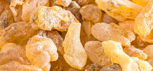 Frankincense Essential Oil